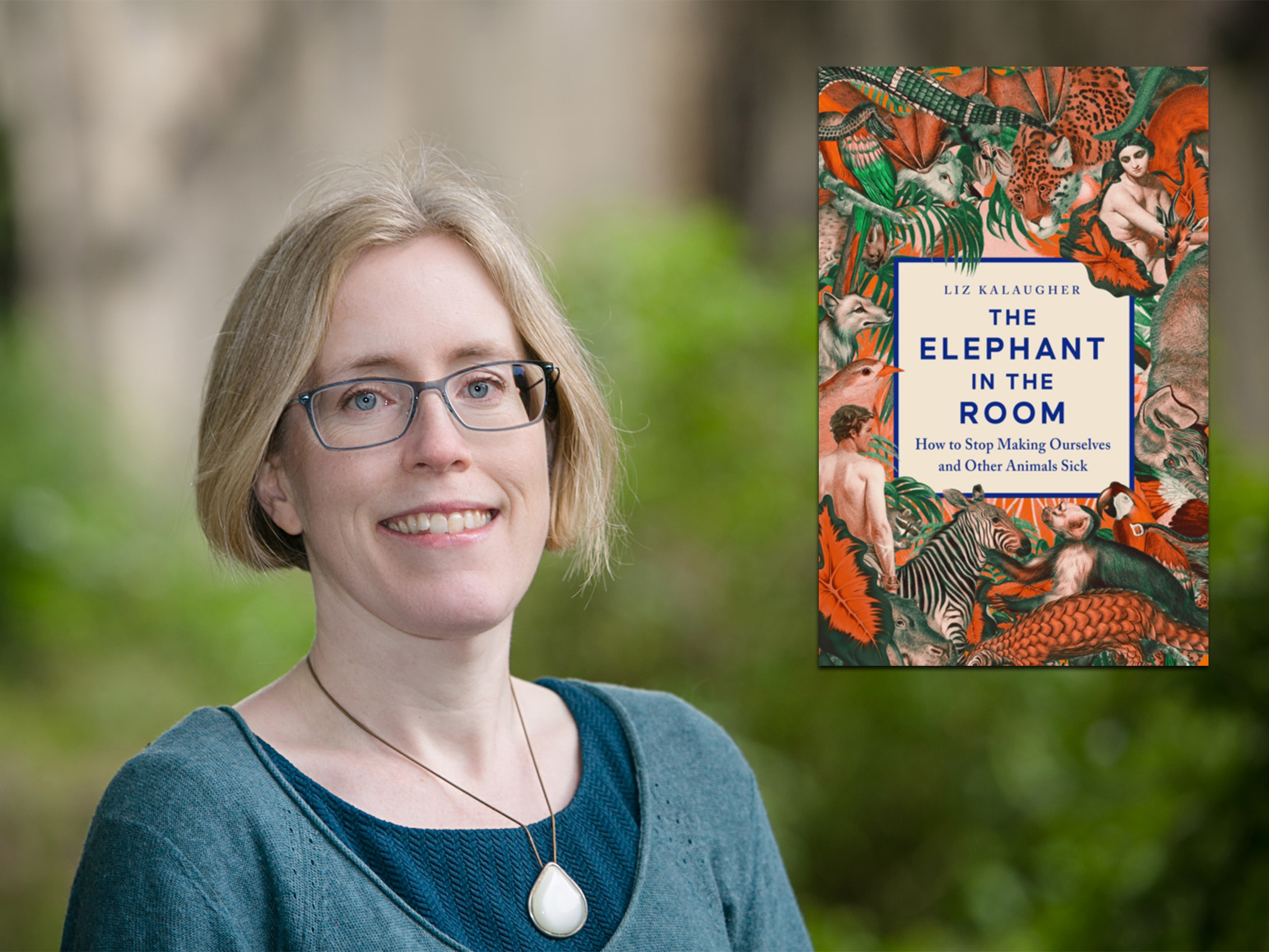 Liz Kalaugher: The Elephant in the Room