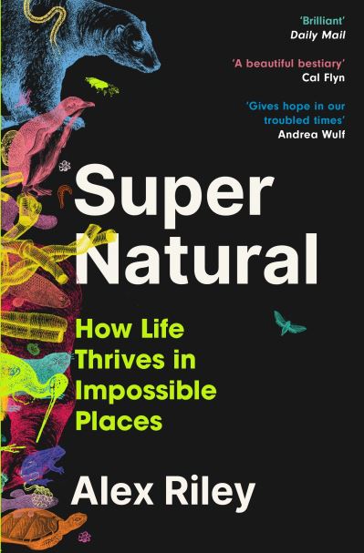 Super Natural (signed)