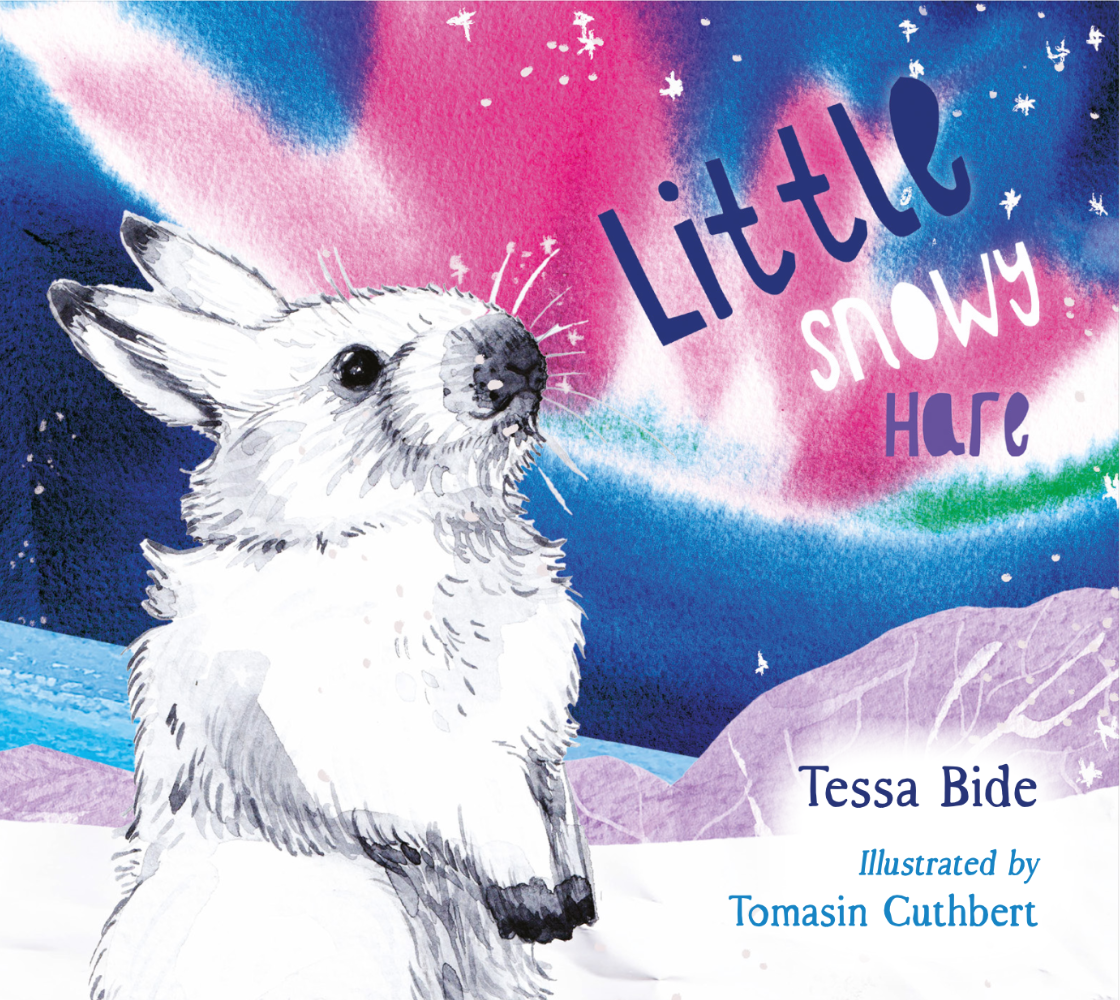 Little Snowy Hare